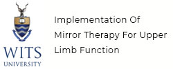 WITS to Implementation Of Mirror Therapy For Upper Limb Function